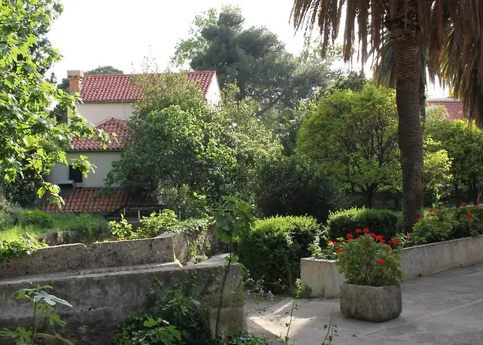 Apartment Andrijana