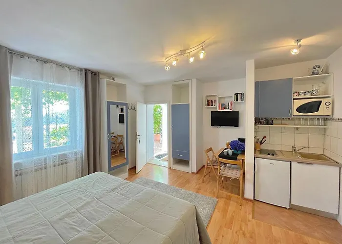 公寓 Andrijana 米利尼