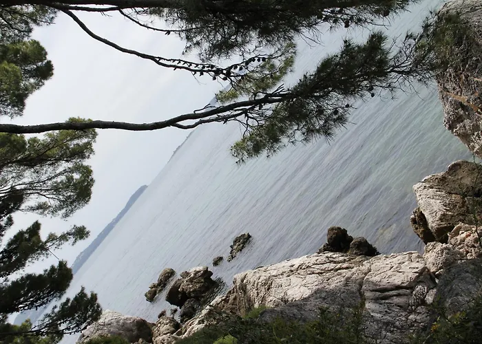 公寓 Andrijana 米利尼